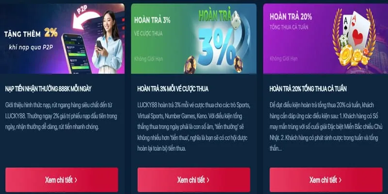 Hình ảnh hoàn trả cược thể thao hàng tuần